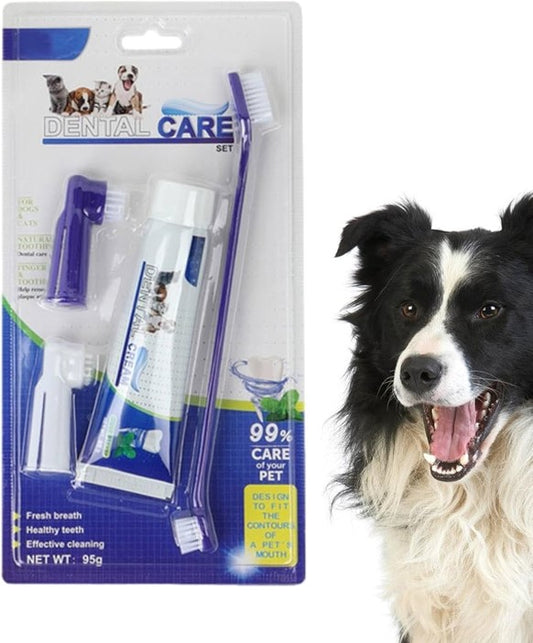 Dental Cream and Toothbrushes