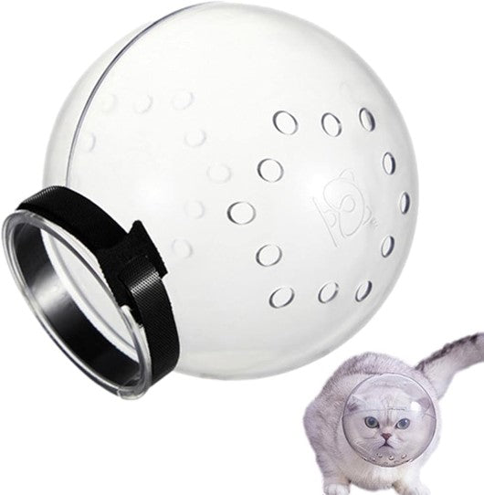 Transparent Cat Space Muzzle