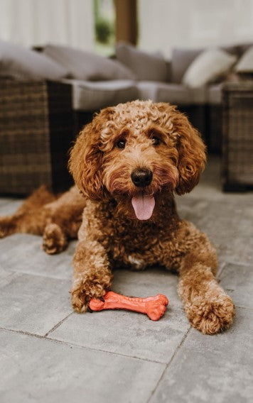 Ultra Durable Dog Chew Toy