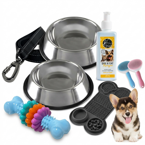 Dog Accessories