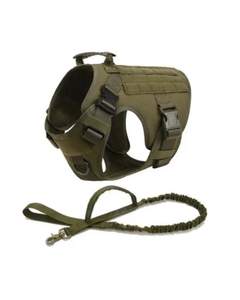 Dog Harness with Leash + Collar Super Premium