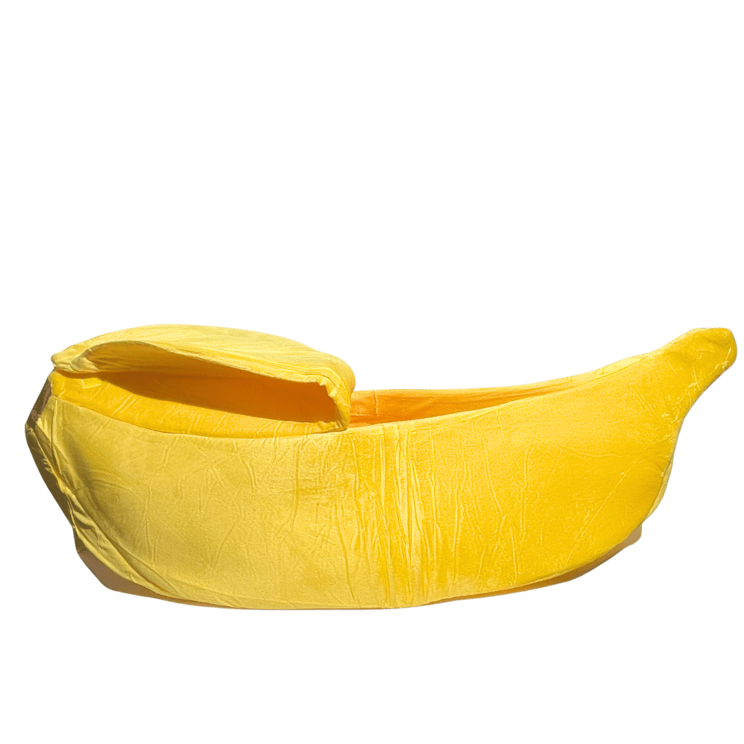 Banana Shaped Bed