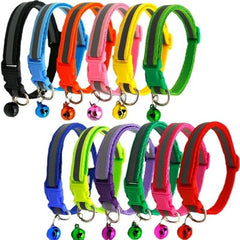 Cat Collars