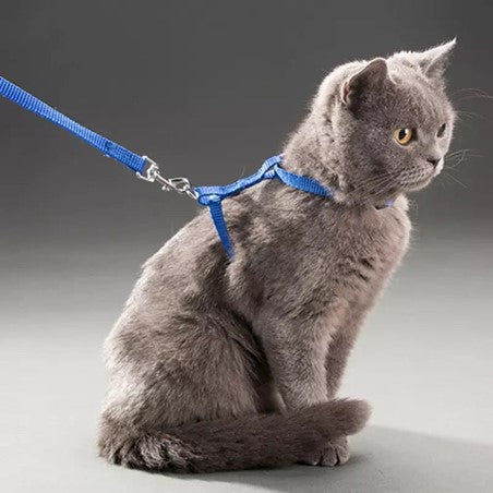 Cat Harness Leash