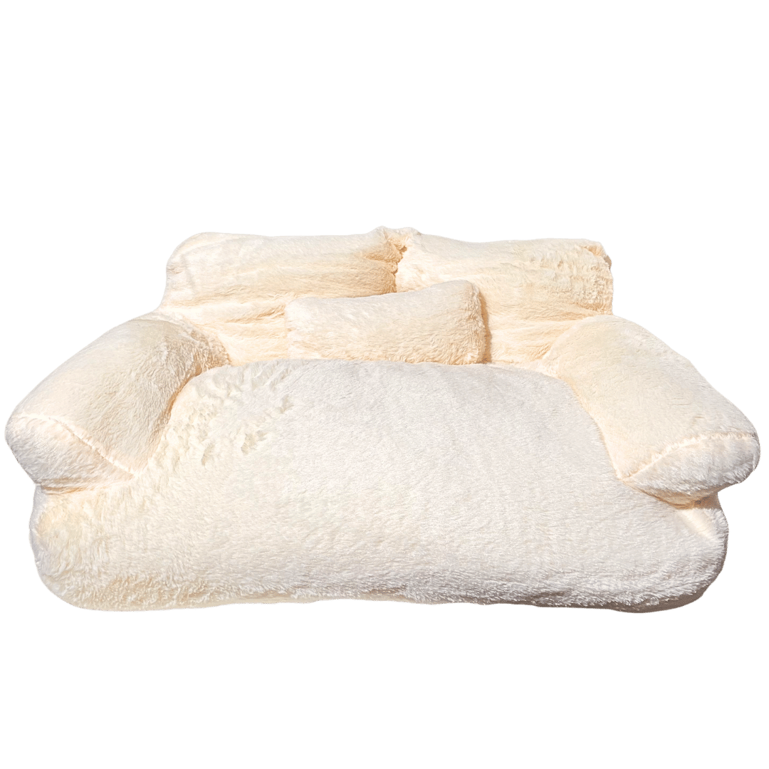 Cat Sofa Bed