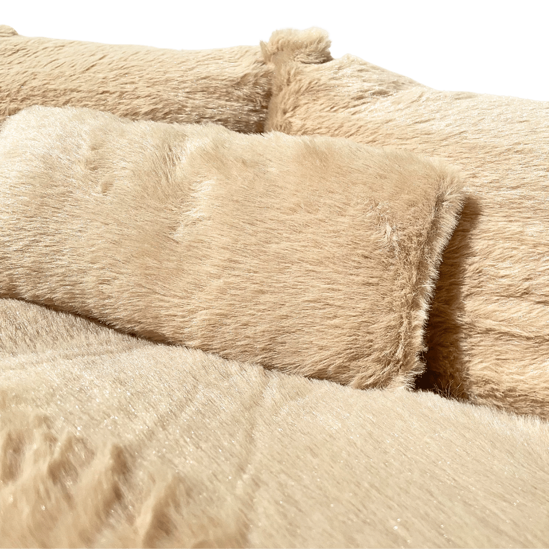 Cat Sofa Bed