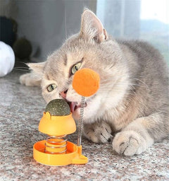 Catnip Ball Toy