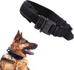 Dog Collar Adjustable Metal