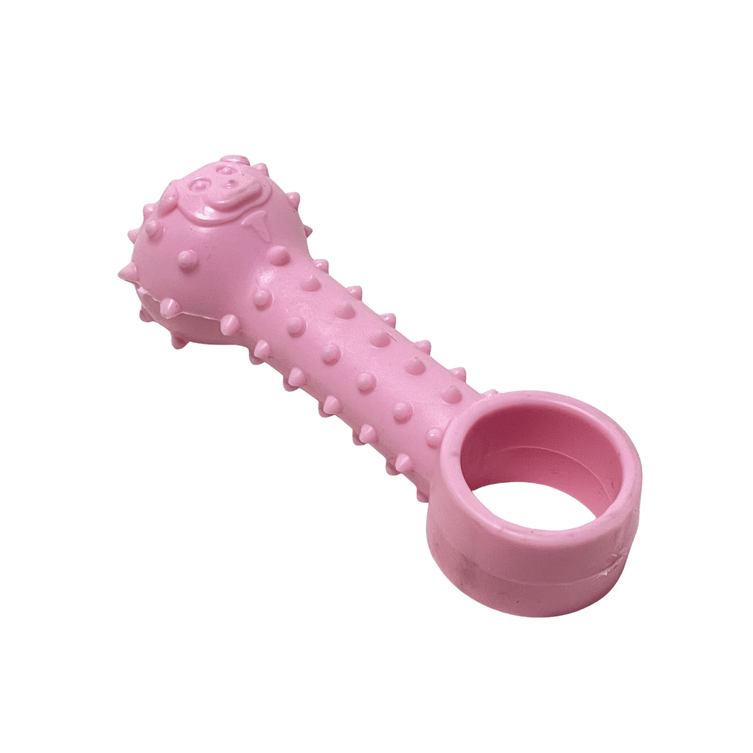 Dog Dental Dog Bone Toy