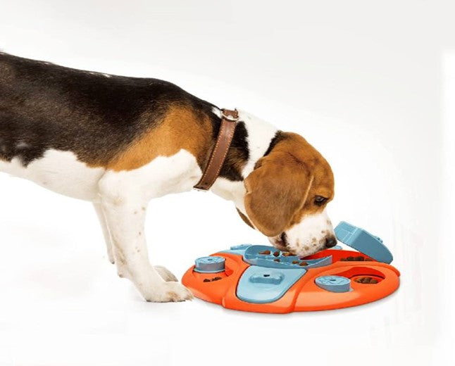 Dog Puzzle