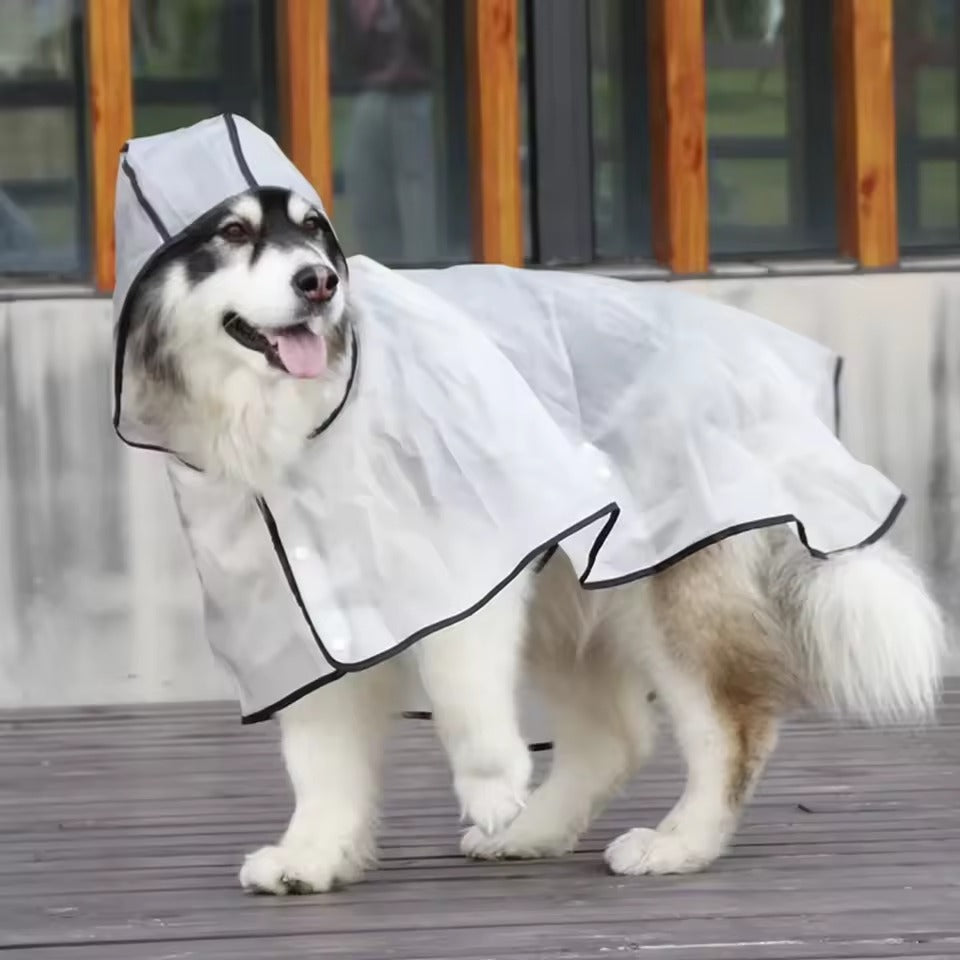 Husky wearing a transparent hooded dog raincoat, full side view showing waterproof poncho coverage from neck to tail