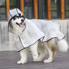 Husky wearing a transparent hooded dog raincoat, full side view showing waterproof poncho coverage from neck to tail