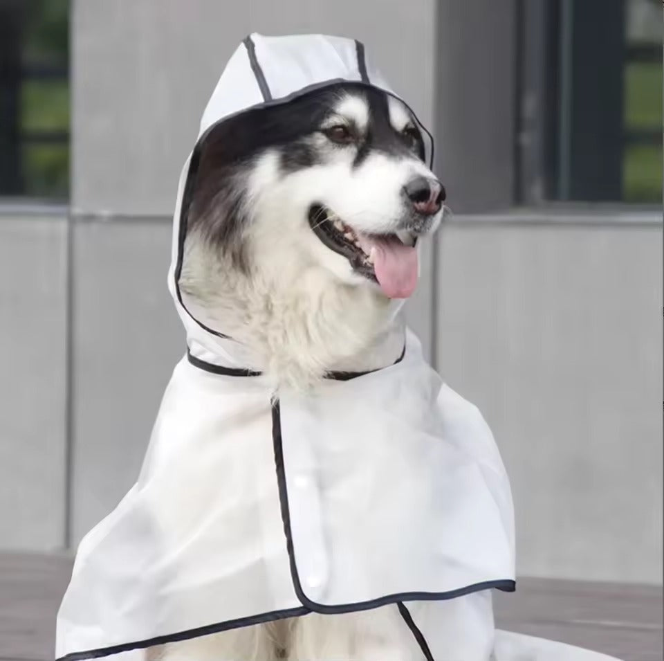 Close-up of clear waterproof dog raincoat hood and cape with black trim on a large dog