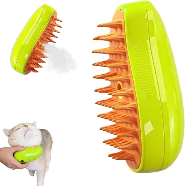 Brush Steam