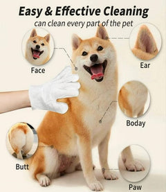 Pet Glove Wipe
