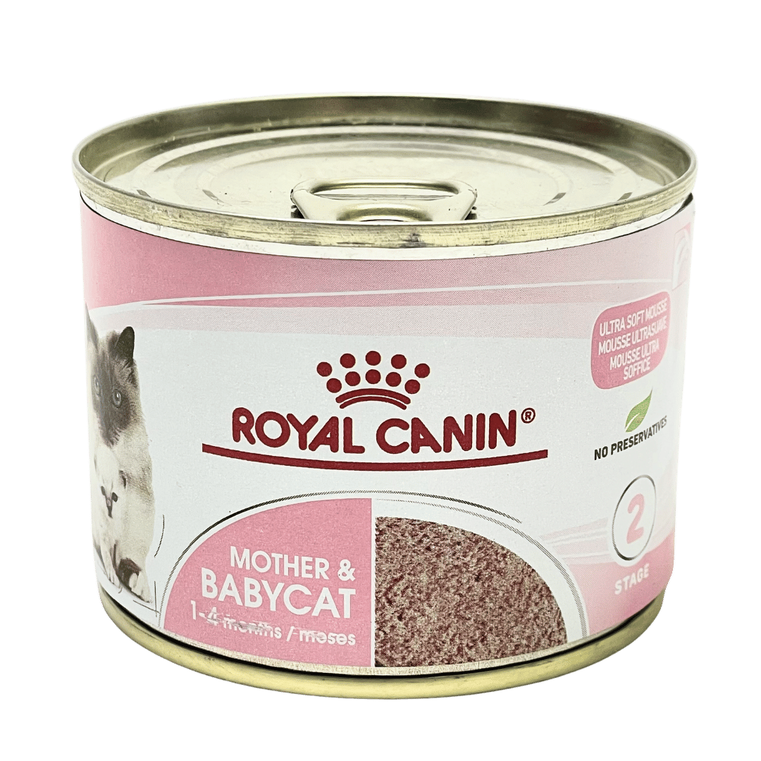 Royal Canin Mother and Baby Cat Wet Can 195G