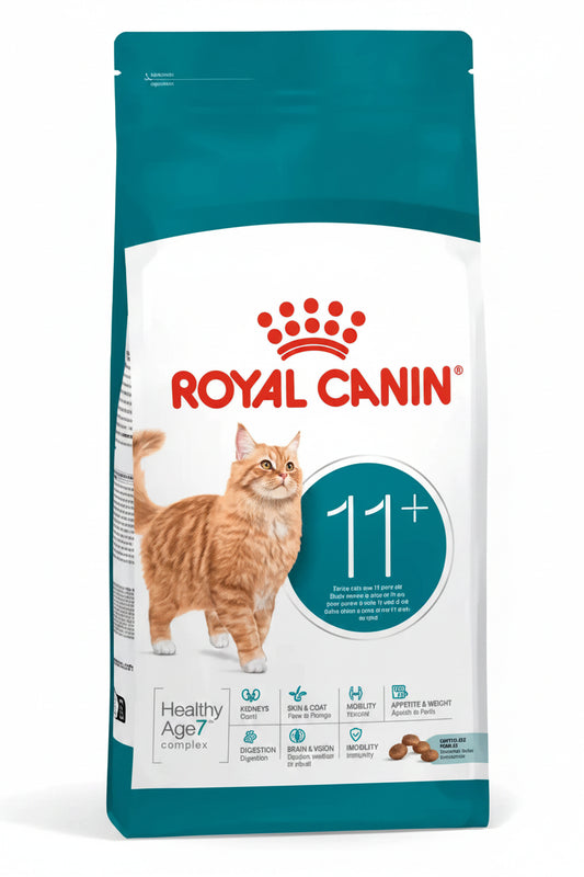 A bag of Royal Canin 11+ cat food for healthy adult cats, featuring a white and teal package with an orange tabby cat illustration and the Royal Canin logo.