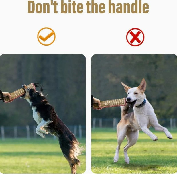 Dog Training Bite Tug Toy