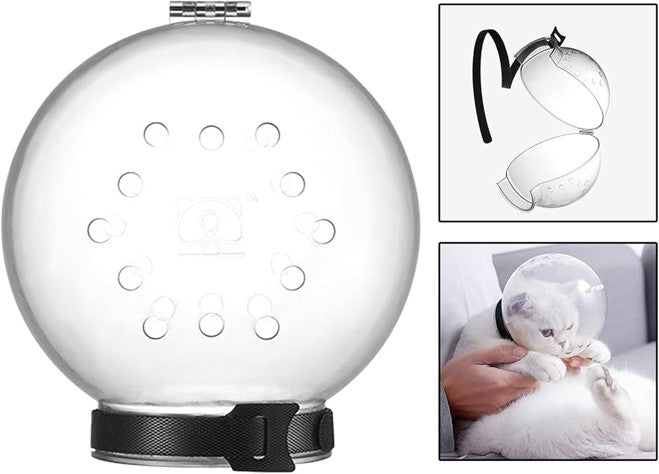 Transparent Cat Space Muzzle