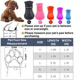 Winter Bundle ( L and XL Breed only)