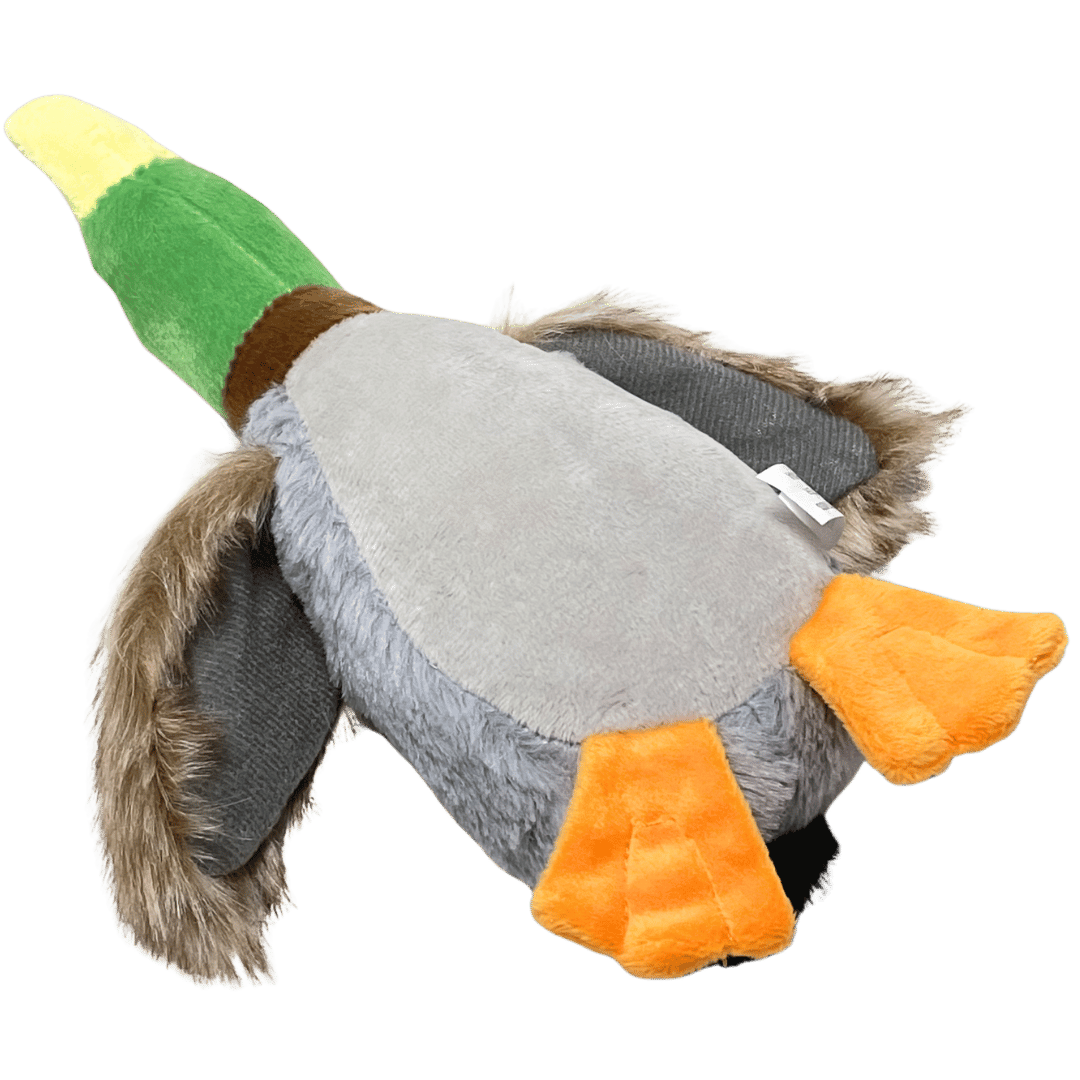 Beeping Duck