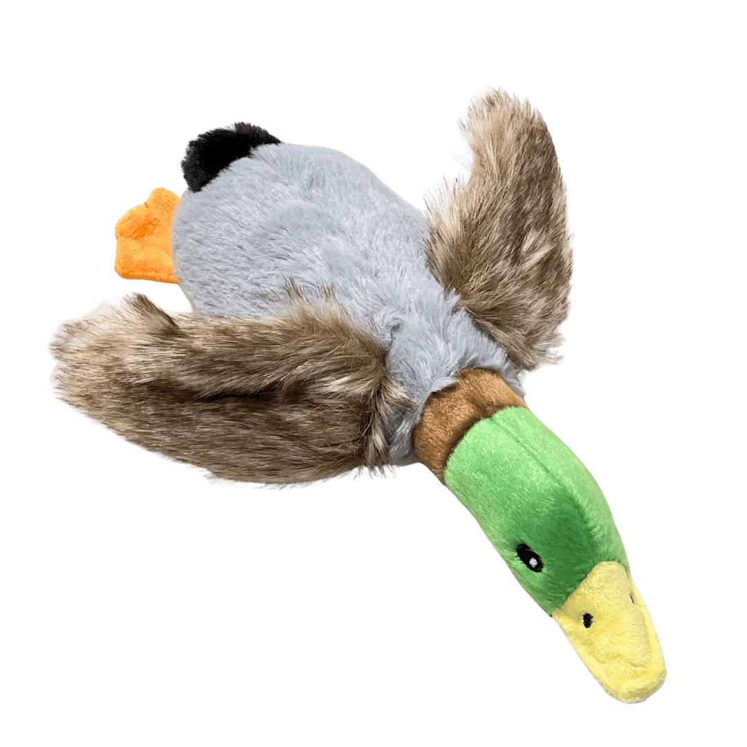Beeping Duck