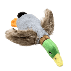 Beeping Duck
